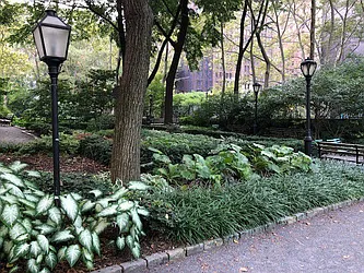 Rented by Bond New York