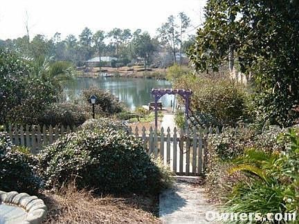 Gardens, Koi ponds and waterfalls