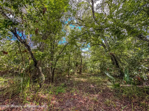 0 Old Hunter Rd, Brooksville, FL 34601