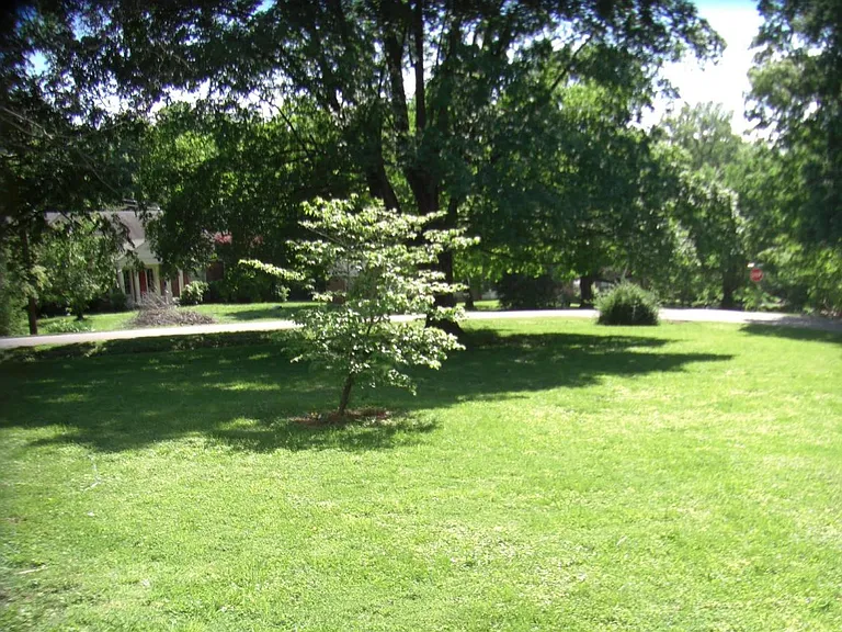 huge front yard