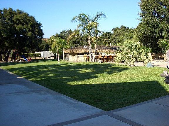 Back yard