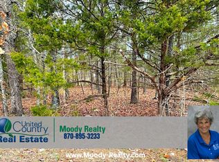 1101 Madison Ave, Horseshoe Bend, AR 72512