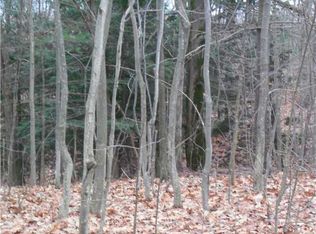 0 Chubb Hollow Rd, Dundee, NY 14837