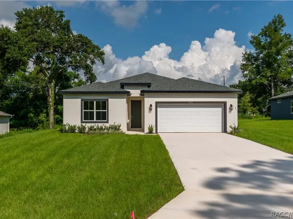 9262 N Alpinia Dr, Citrus Springs, FL 34434