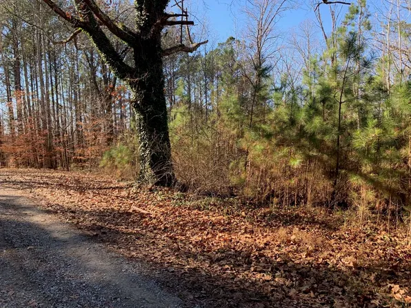 Hill St, Enville, TN 38332