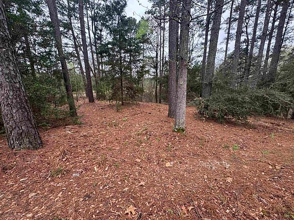 4th image of Lots 9 11 Lake Gladewater Rd