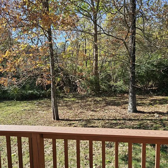 Woody Dr — Photo 18