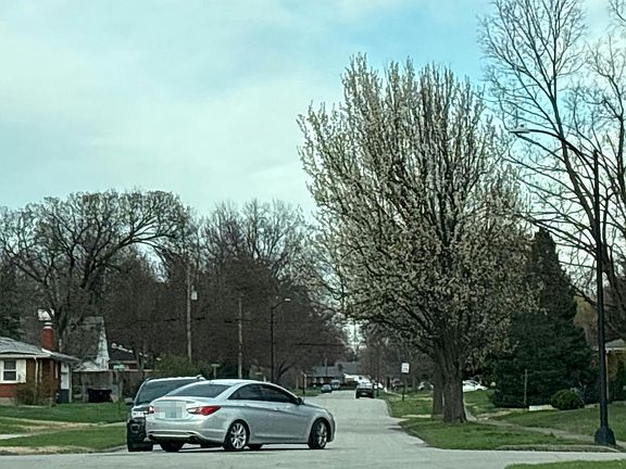 5th image of 3213 Furman Blvd