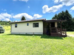9366 Bowen Rd, East Otto, NY 14729