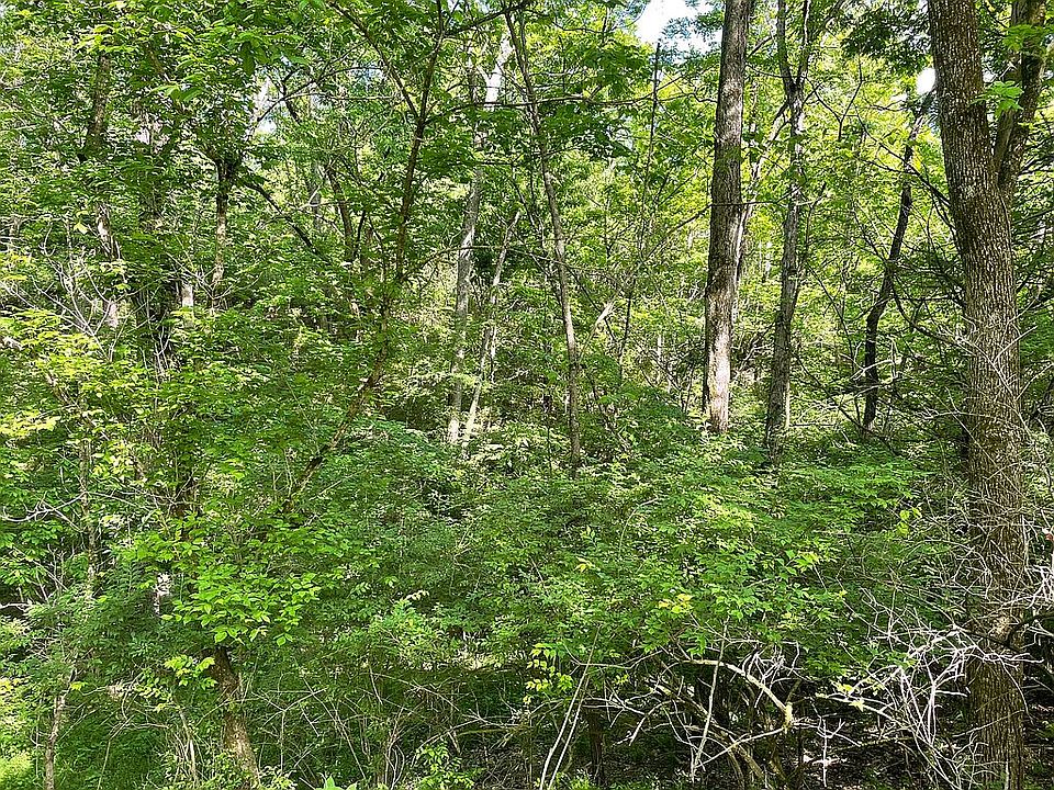2nd image of 214 Elk Lake Dr