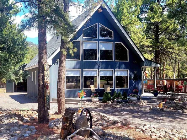 139 Bristlecone Drive, South Fork, CO 81154