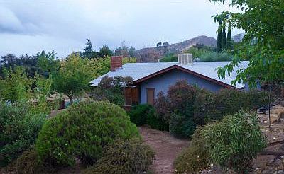 Privacy fencing and landscaping