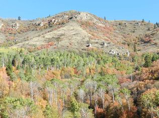 217 Bills Rd, Irwin, ID 83428