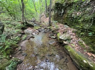 TRACT 1st Nck #7540, Ozone, AR 72854