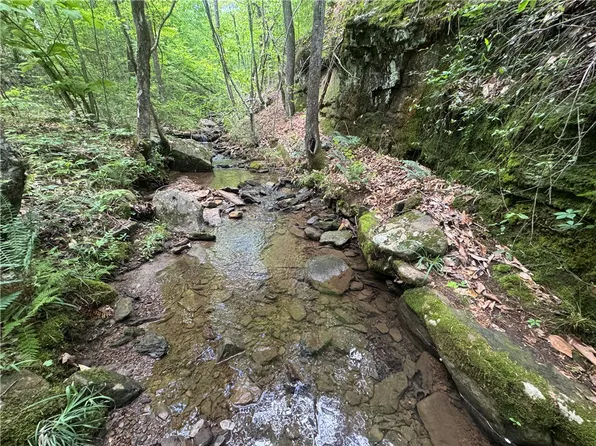 TRACT 1st Nck #7540, Ozone, AR 72854