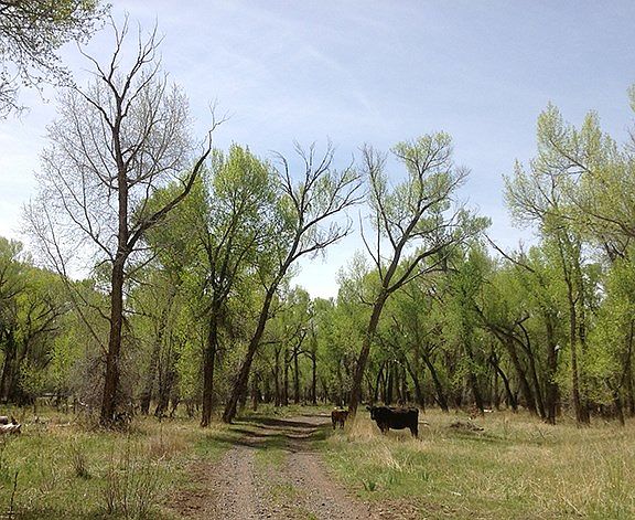 1st image of 15998 County Road 20