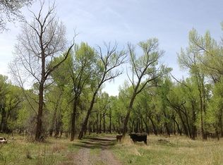 15998 County Road 20, Sanford, CO 81151