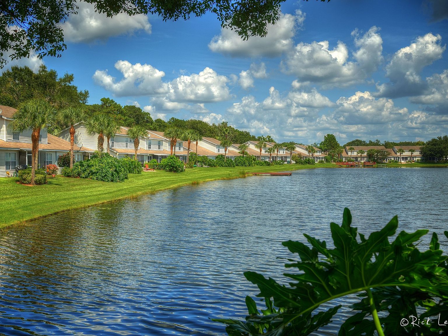 1827 Lake Heron Dr, Lutz, FL 33549 Zillow