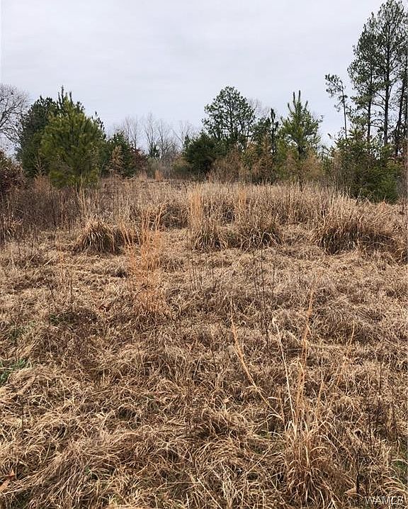 2nd image of 15432 Byars Rd