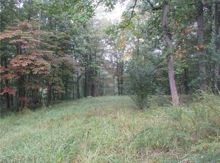 Campbell Rd, Saint Marys, WV 26170