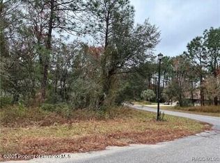 6 Shamrock Ct, Homosassa, FL 34446