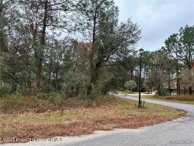 6 Shamrock Ct, Homosassa, FL, 34446