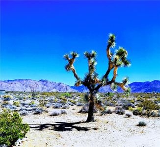 13779 S Carrow Rd, Yucca, AZ, 86438
