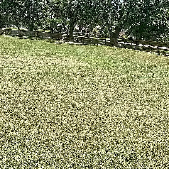 4615 Scott Rd — Photo 33