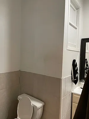 Rented by Brown Harris Stevens | media 14