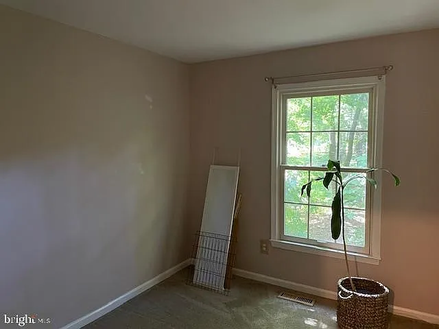 1117 Wildpark Ave — Photo 21