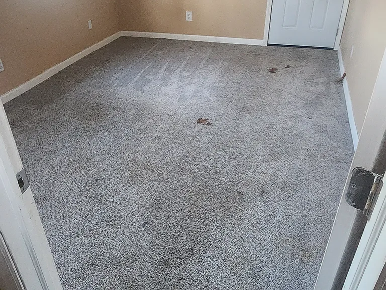 1131 Terrace Ave — Photo 9
