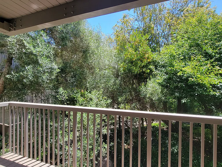 7202 Shelter Creek Ln — Photo 13