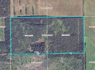 County Road 136 Rd, Warroad, MN 56763