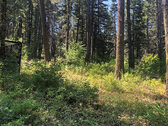 3rd image of 5 Wapiti Dr