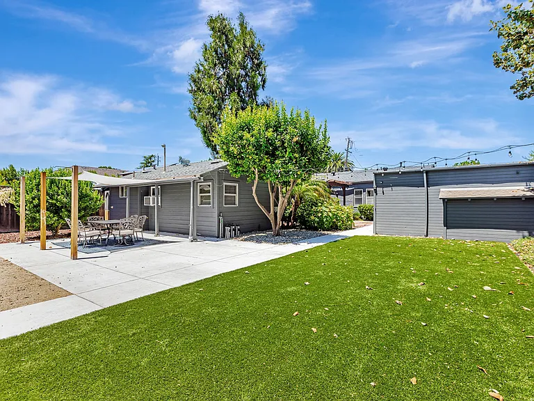 Turf lawn