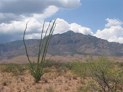 1st image of 0 S Mi Casita Ln