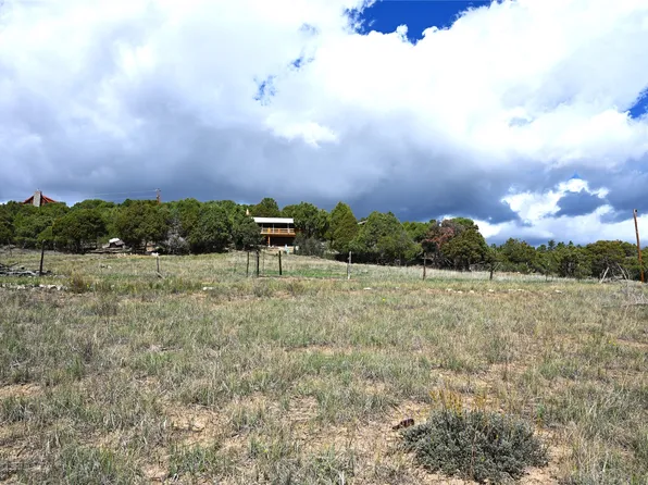 21 Private Drive 1782 #C, Chama, NM 87520