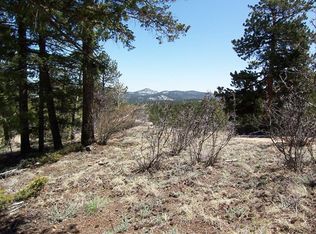 33705 Isham Jones Rd, Pine, CO 80470