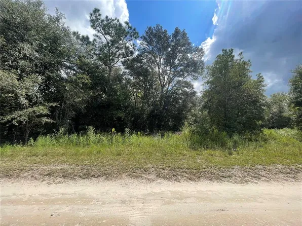 SW 144th Ct, Ocala, FL 34481