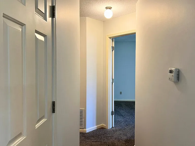 2509 Hollyhock Dr — Photo 19