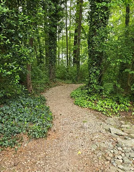 4265 The Oaks Dr — Photo 28
