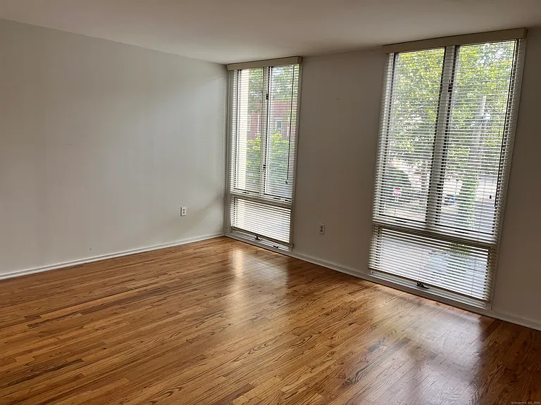 285 Greene St #285 — Photo 18