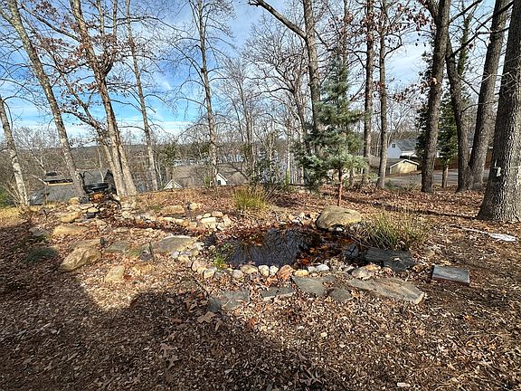 Koi Pond with Gold Fish
Zero Maintenance