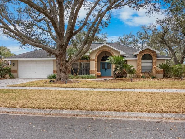 1619 Palace Ct, Valrico, FL 33594