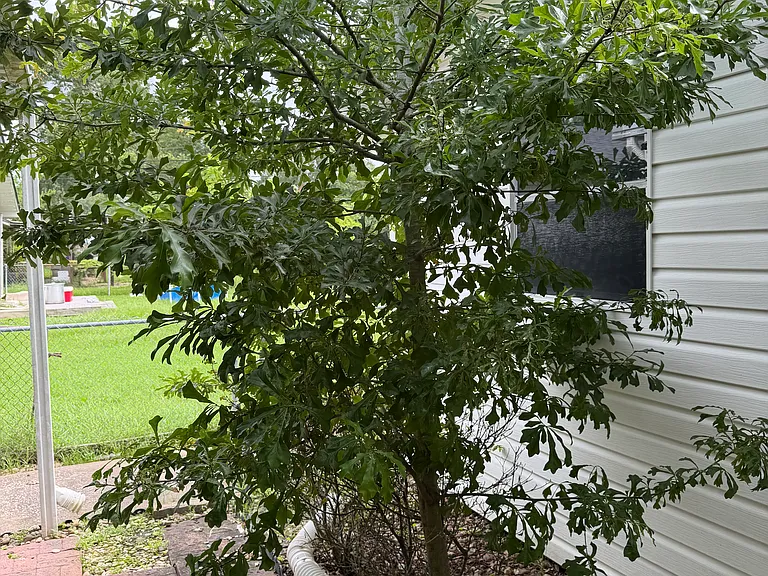 3460 Kipling Dr — Photo 27