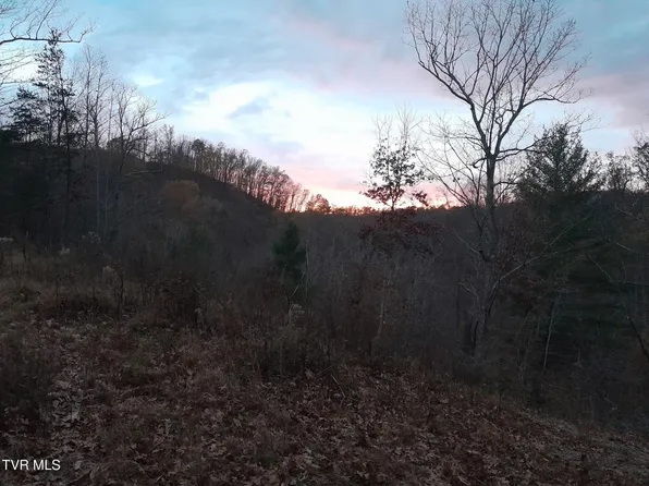 253 Honey Dew Ln, Watauga, TN 37694