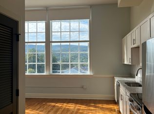 Pulaski Lofts, Pulaski, VA 24301