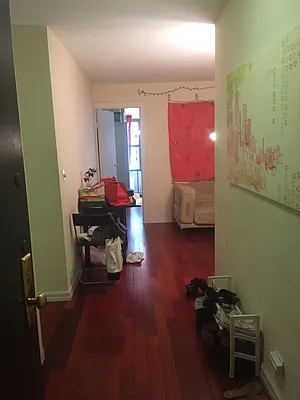 Rented by Manhattan Apartment Organization | media 42