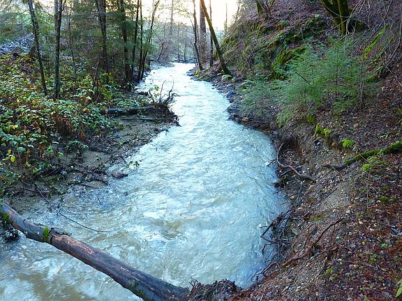 2nd image of 444 Acres Gibbs Road