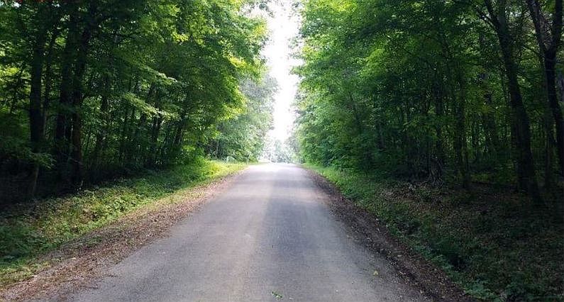 2nd image of 1030 Jerome Batts Rd
